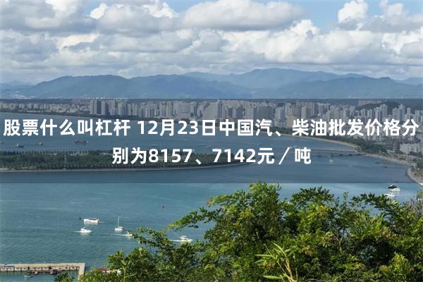 股票什么叫杠杆 12月23日中国汽、柴油批发价格分别为8157、7142元／吨